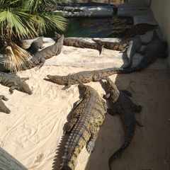 Егор_Елистратов