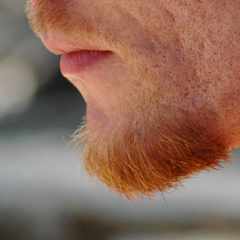 Денис_Борода