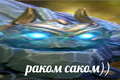 zxcrakomsakomzxc