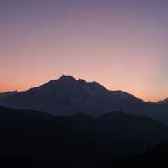 НаблюдательПеппера