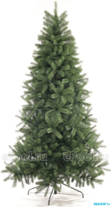 Activity Image