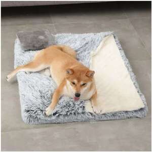 Activity Image
