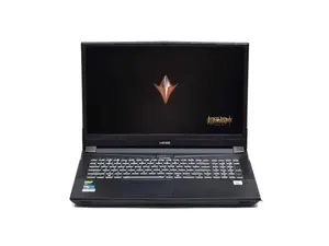 16.1" Игровой ноутбук Hasee TX9-CA5DP, Intel Core i5-10400 (2.9 ГГц), RAM 16ГБ, SSD, RTX 3070 (8 Гб), Windows, Англ. клавиатура