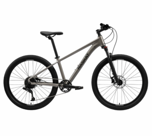 Велосипед Raskat 29", алюминий,20" гидравлика, Metallic Stone