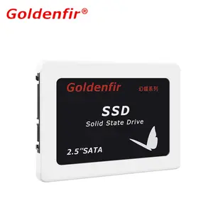 SSD Goldenfir 2.5 960 ГБ
