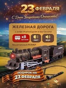 Железная дорога с электропоездом (с картой OZON)