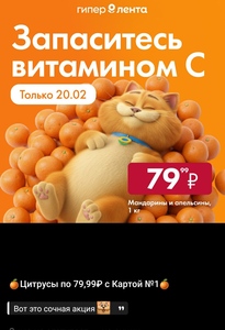 Цитрусовые в ассортименте 1 кг (только 20.02)