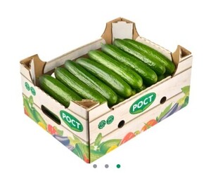 Activity Image