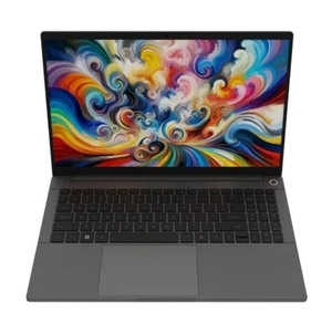 Ноутбук ICEBOOK ID4 15.6", AMD Ryzen 5 4600H, RAM 8 ГБ SSD 256 ГБ, AMD Radeon Graphics, Windows 11 Pro (из-за рубежа, с картой OZON)