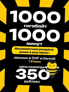Сим карта 1000 Гб, 1000 мин, 350 ₽/мес, beeline sim (с картой OZON)