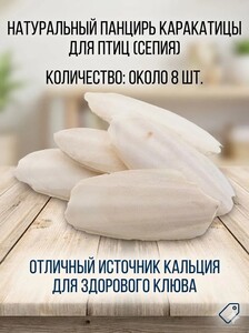 Activity Image