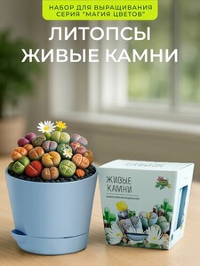 Activity Image